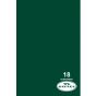 18-12 Ciclorama Fondo De Papel Savage Evergreen 2.72m X 11m