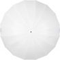 Umbrella Deep Translucent L