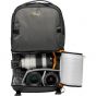 Estuche Lowepro Fastpack BP 250 AW III-Grey