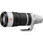 Sony FE 100-400mm f/4.5 GM OSS