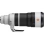 Sony FE 100-400mm f/4.5 GM OSS