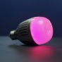 LAMPARA LUZ LED RGBWW ACCENT B7C APUTURE