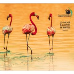 Libro Lo Mejor De La Fotografia De Naturaleza Volumen II Flamenco Celestun