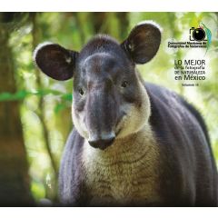 Libro Lo Mejor De La Fotografia De Naturaleza Volumen III Tapir Chiapas