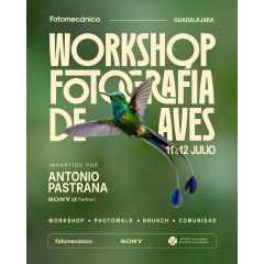 Workshop de Fotografía de aves con Antonio Pastrana 11 y 12 de Julio 2026