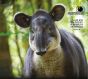 LIBRO LO MEJOR DE LA FOTOGRAFIA DE NATURALEZA VOLUMEN III TAPIR CHIAPAS