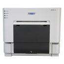 IMPRESORA COMPACTA DS-RX1HS