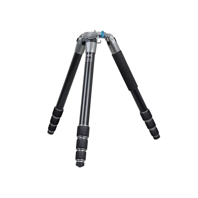 Tripie KingJoy Aurora A66