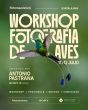 Workshop de Fotografía de aves con Antonio Pastrana 11 y 12 de Julio 2026