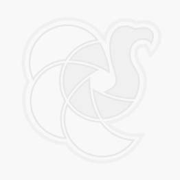 Logo ASAC